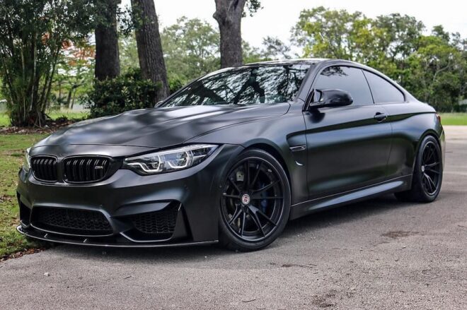 Paint Protection Film Frozen Black Color - Image 2
