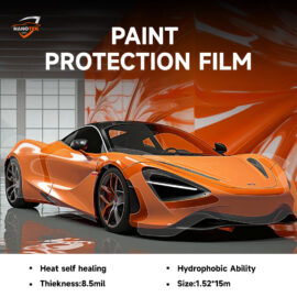 Clear Paint Protection 7 Years Warranty